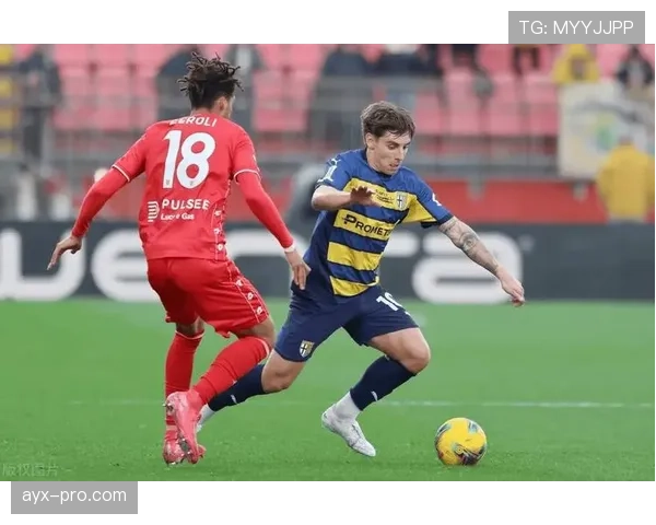 维罗纳队重整阵容，新赛季聚焦年轻球员崛起与战术革新