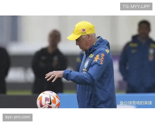 巴拉圭队控球能力稳健，球队战术战略备受关注分析