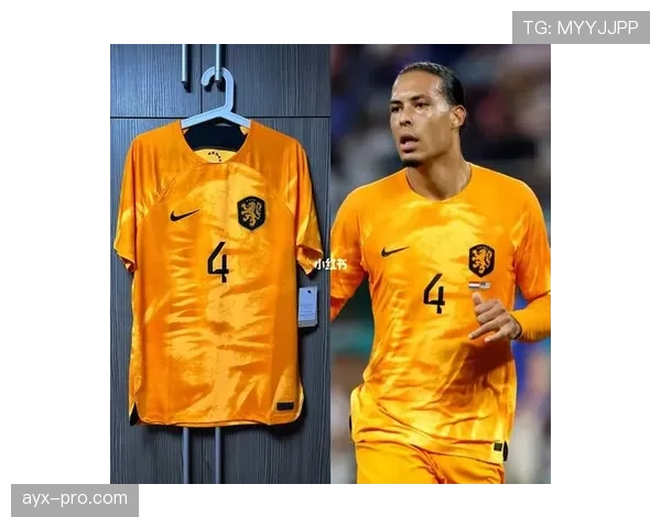 荷兰球迷橙色风暴